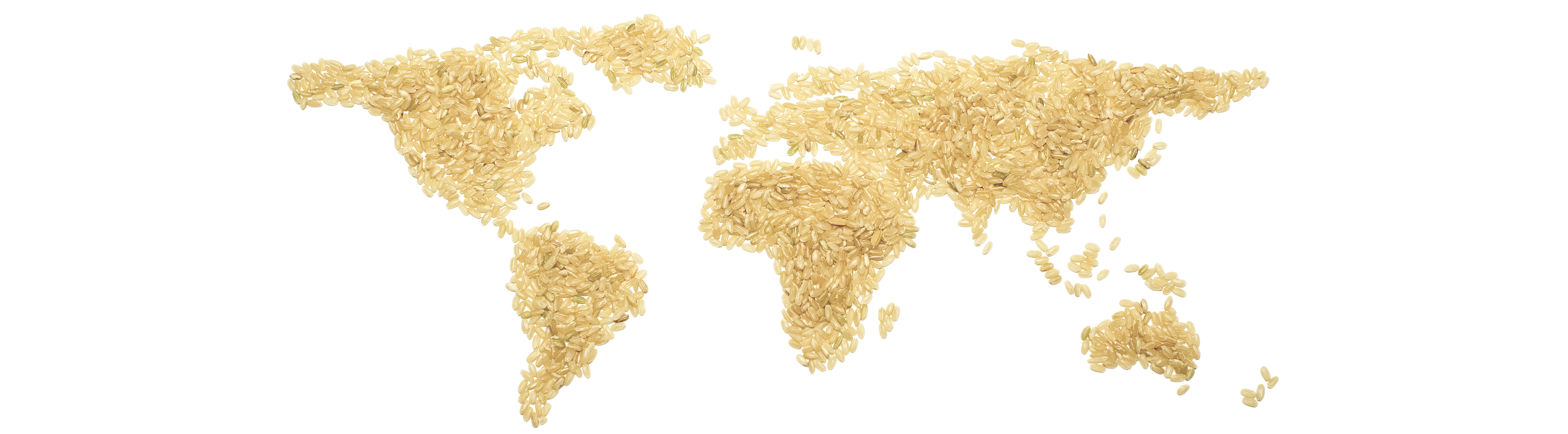 atlantic le chef mapa mundo feito por arroz