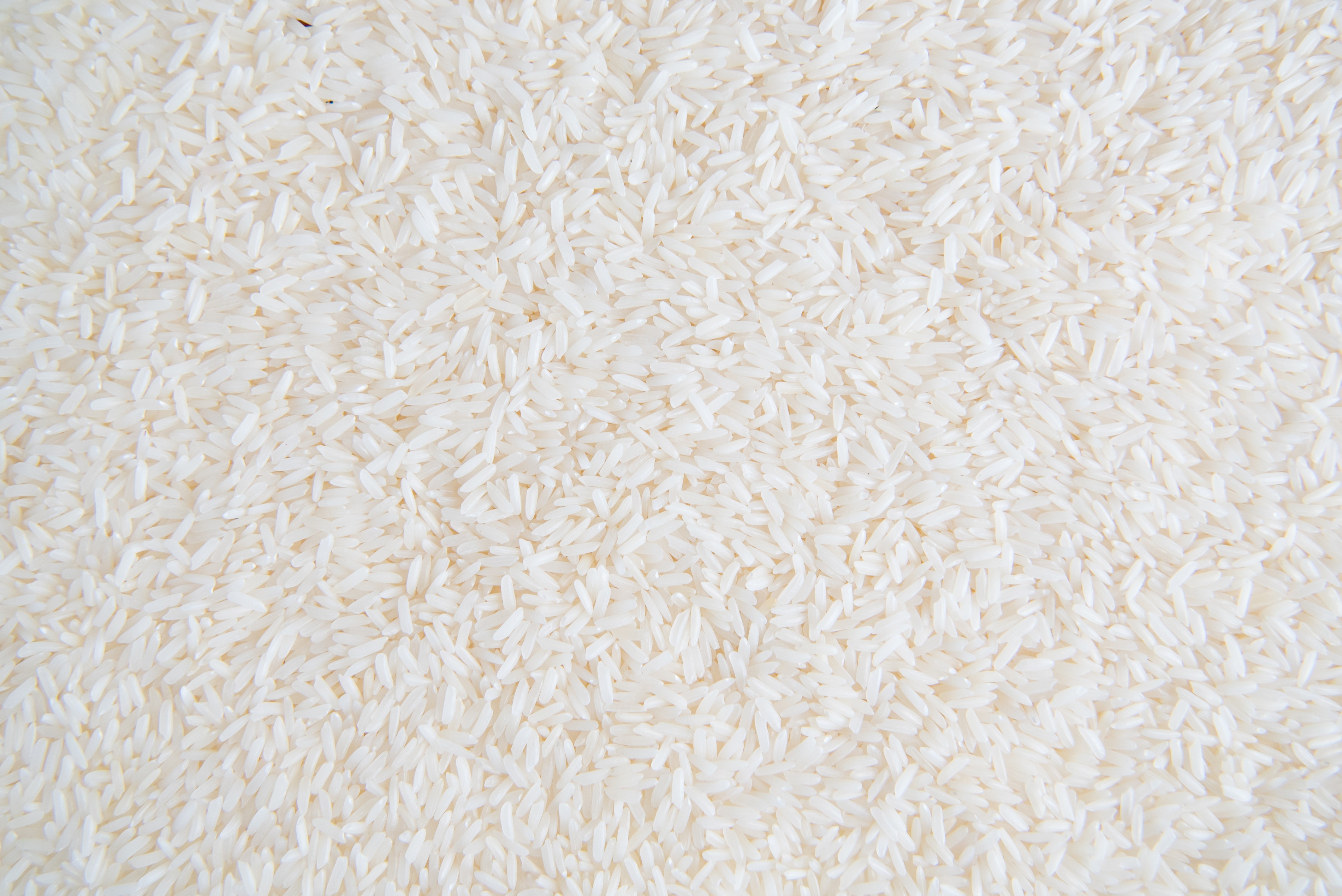 atlantic le chef arroz